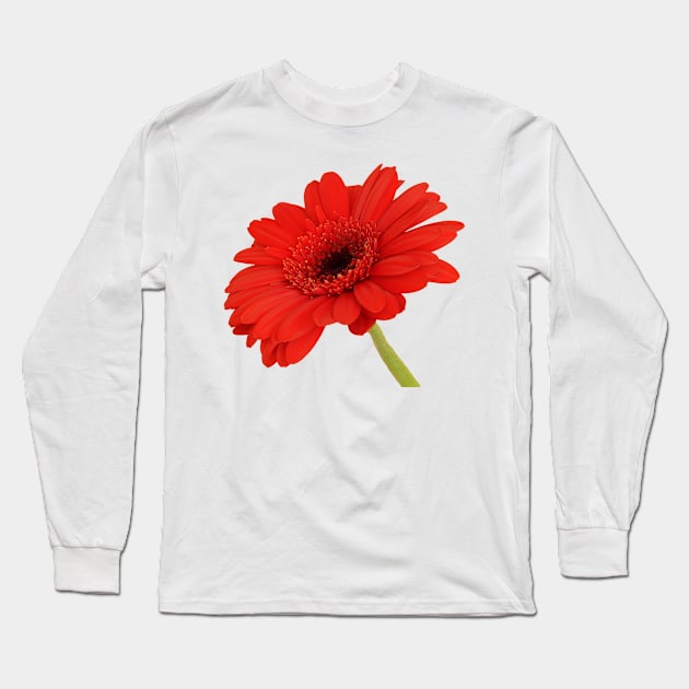 Red Gerbera Daisy Long Sleeve T-Shirt by Shirasaya